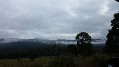 Photo: Stoodley Forest Tasmanian Trail